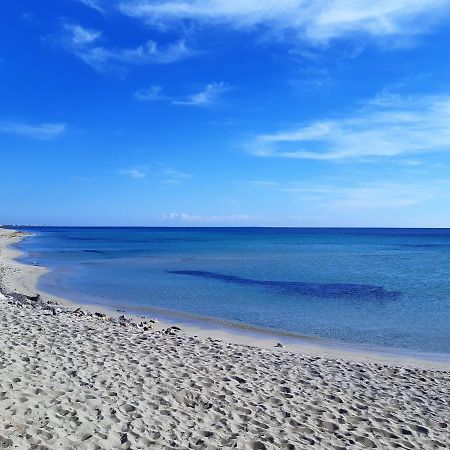 Le Case Di Pat - Palms Home San Pietro in Bevagna Εξωτερικό φωτογραφία