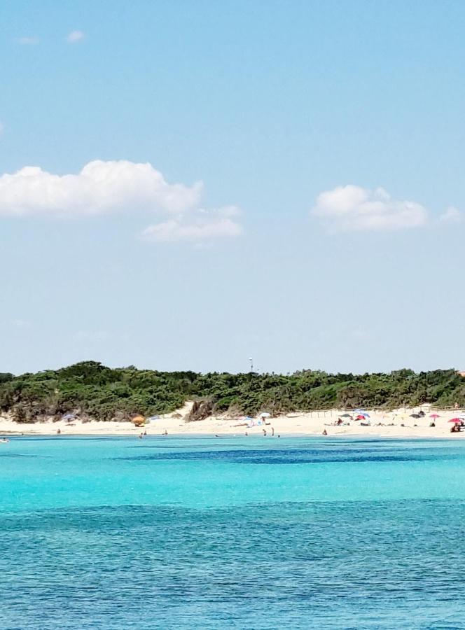Le Case Di Pat - Palms Home San Pietro in Bevagna Εξωτερικό φωτογραφία