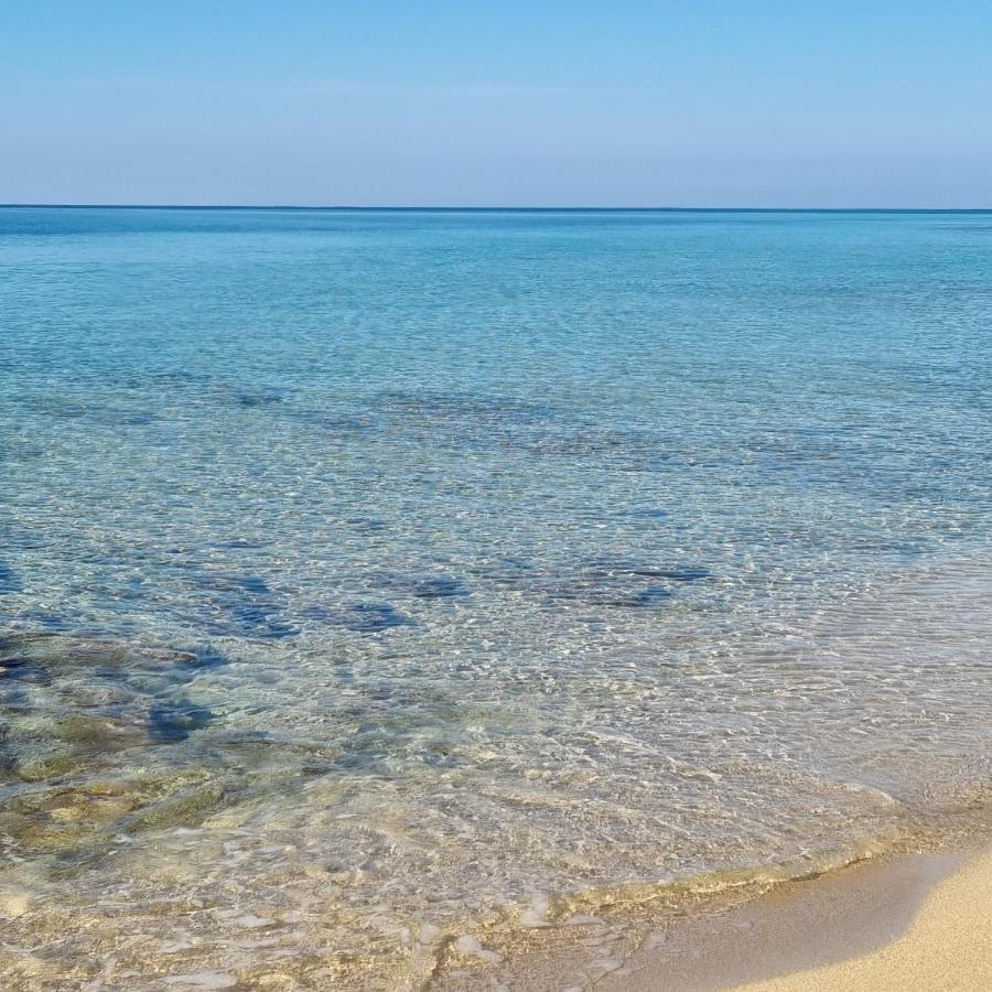 Le Case Di Pat - Palms Home San Pietro in Bevagna Εξωτερικό φωτογραφία
