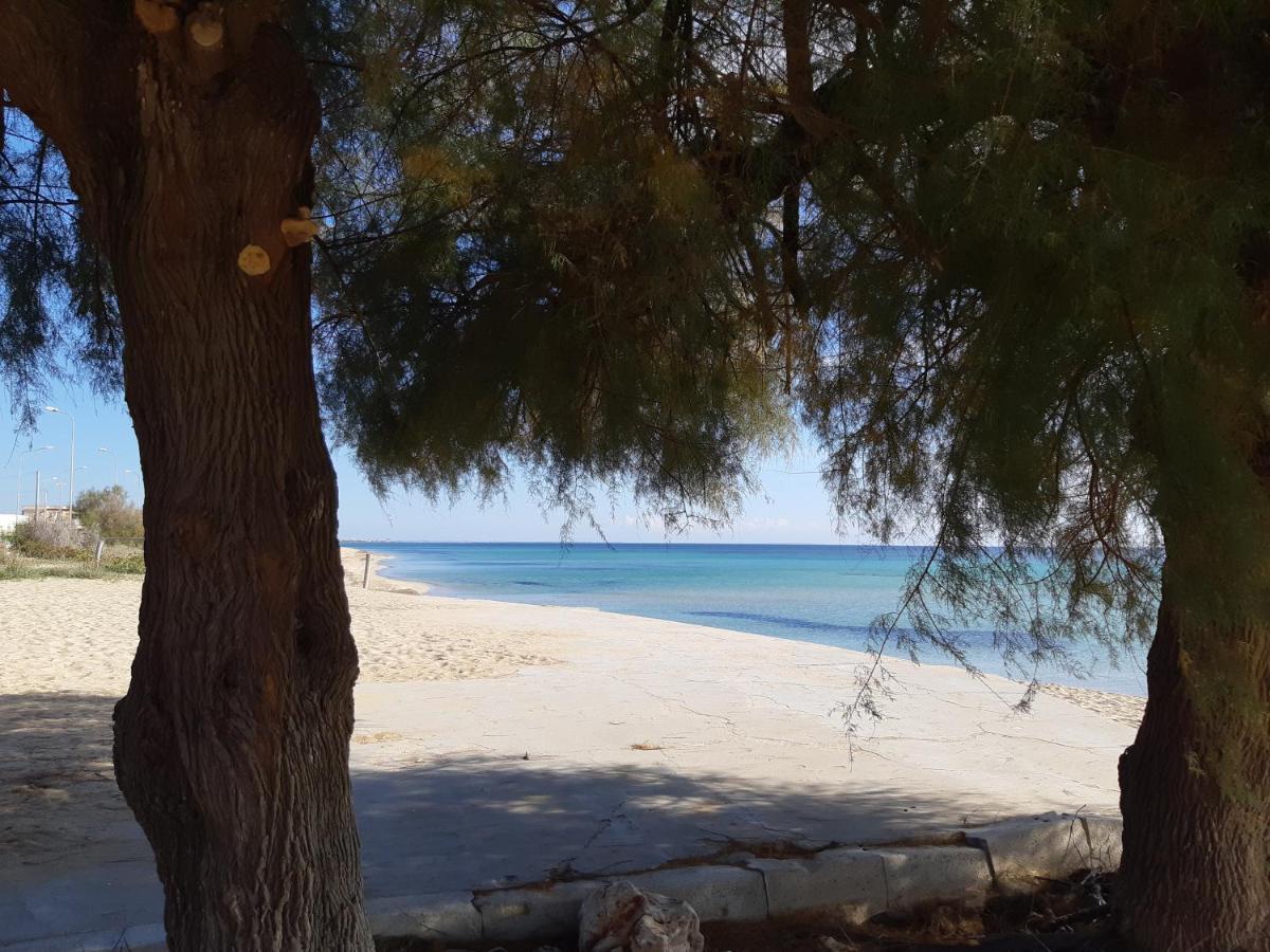 Le Case Di Pat - Palms Home San Pietro in Bevagna Εξωτερικό φωτογραφία